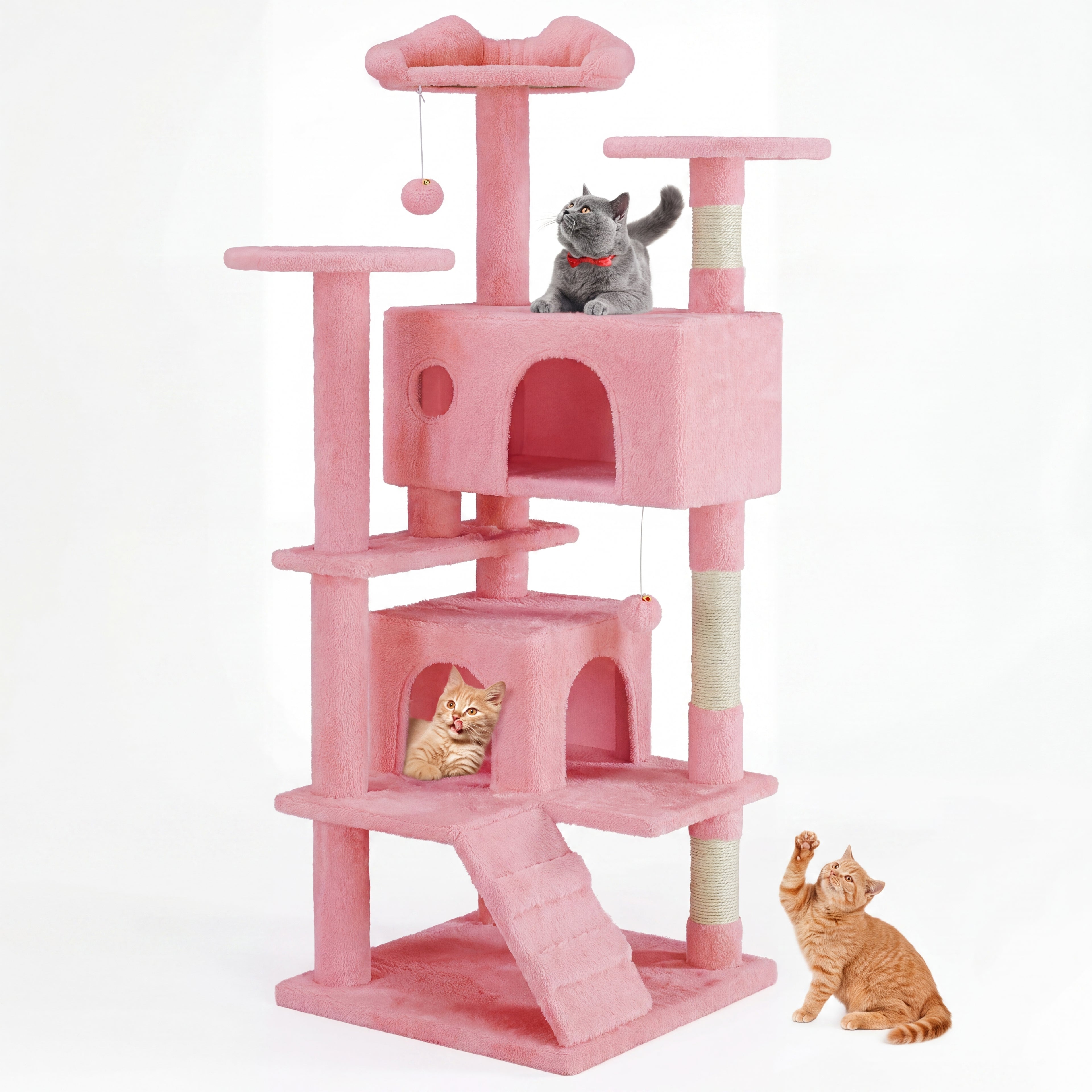 Cat Climbing Tower