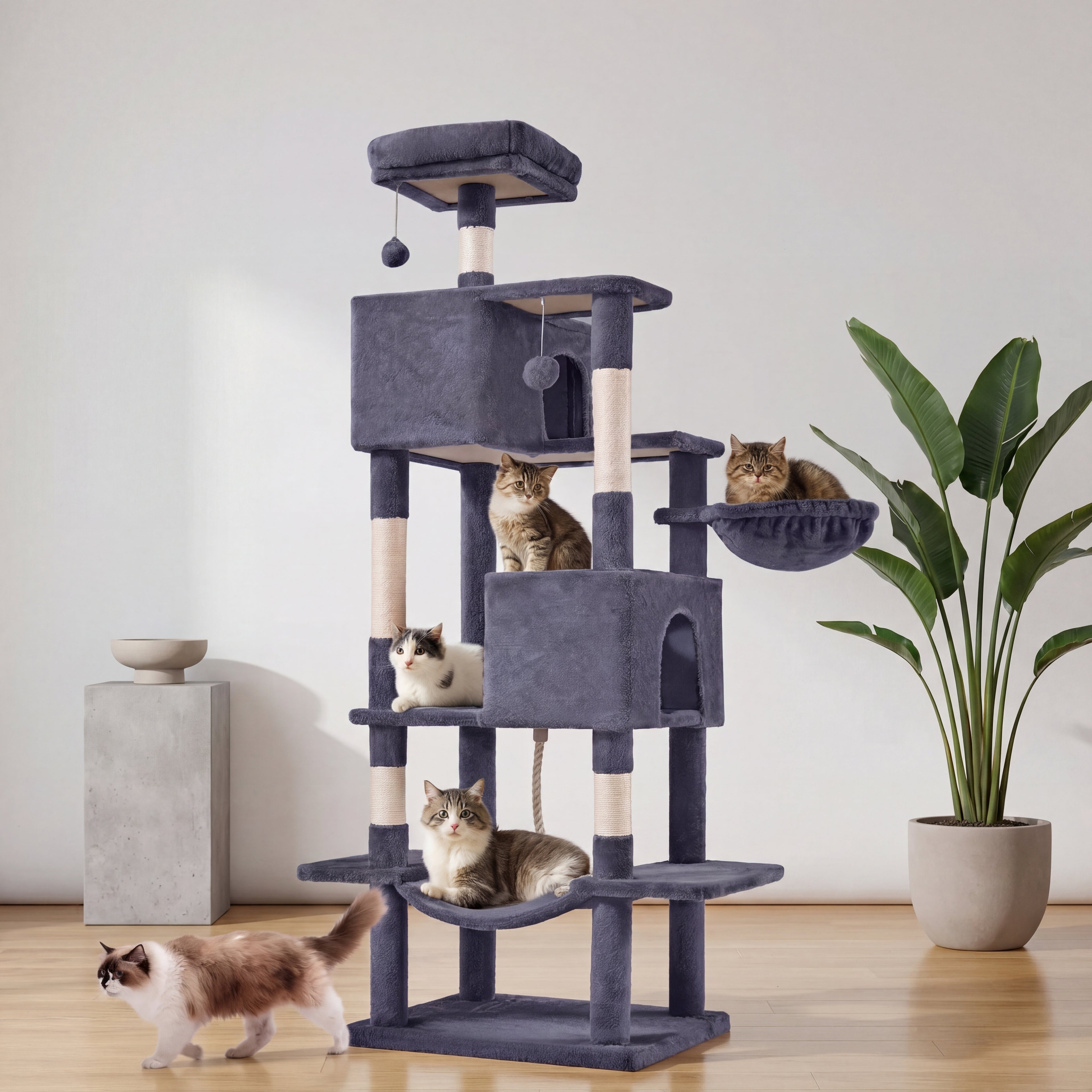 Cat Climbing Tower